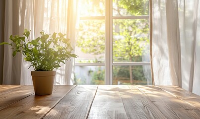 Wall Mural - Indoor plant on wooden table with sunlight streaming through curtains, creating a warm and inviting atmosphere