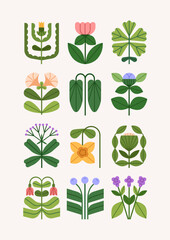 Leinwandbilder - Flowers, botanical card design. Floral postcard with whimsical plants. Stylized wildflowers, field blossoms, blooms, leaves. Modern style poster, spring and summer nature. Flat vector illustration