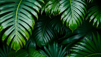 Wall Mural - Monstera and palm leaves jungle texture