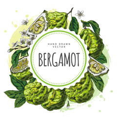 Wall Mural - Bergamot fruits, flowers and leaves sketch round label vector design, hand drawn ripe green Kaffir lime farm citrus