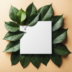 Wall Mural - Green leaves surrounding a white square paper on a peach-colored background, creating a calm and minimalist feel, AI generated