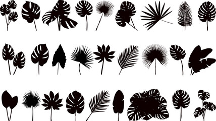 Wall Mural - palm leaves set black silhouette vector