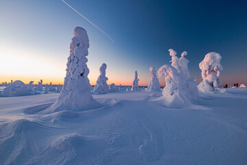 Sticker - winter landscape with snow and trees