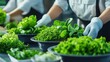 © RUENGWILAI - Group of people collaborating and preparing food in a modern kitchen environment during daytime