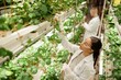 © Seventyfour - Scientists exploring hydroponic strawberry growth in controlled lab environment. Woman focusing on plant analysis, while colleague working in background