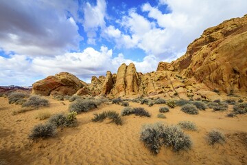 Wall Mural - Rainbow Vista, red sandstone rocks, Mojave desert, sandstone formation, Valley of Fire State Park, Nevada, USA, North America