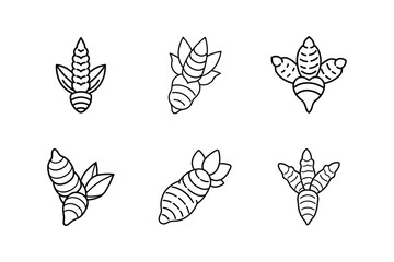 Wall Mural - turmeric icon line art vector illustration