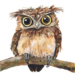 Canvas Print - Watercolor Painting of an Owl Perched on a Branch