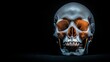 © nattapon - A detailed study of a human skull, highlighting its structure and features against a dark background, Suitable for educational materials, medical illustrations, or artistic projects,