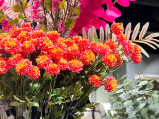 Vibrant orange and pink flowers in lush green foliage display