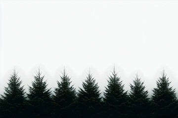 Misty forest trees, serene landscape, nature background