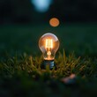 © Rossanun - A lone light bulb protrudes from the grass, its filament glowing softly in the darkness, light bulb, serenity