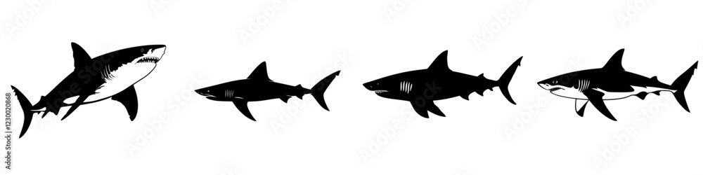 Shark evolution illustrated in a sleek, modern design showcasing four ...