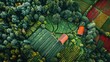 © Tina - Aerial view of vibrant agricultural fields and forested landscape with houses in autumn