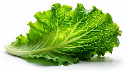 Canvas Print - Fresh Green Lettuce Leaf Isolated on White Background - Low Light Photography Stock Photo