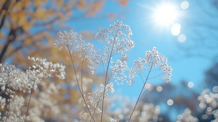 Wall Mural - Delicate wildflowers glisten in the sunlight against a bright blue sky, capturing the essence of autumn's beauty and tranquility.