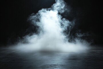 Leinwandbilder - White mist billows from the ground in a dark environment creating an atmospheric effect