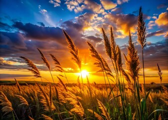 Wall Mural - Silhouette of Grassy Hill at Sunset, Peaceful Nature Scene