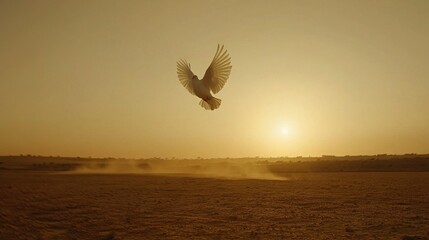 Sticker -   A white bird soars above a parched, grassy field during sunset, with the fiery sun lurking behind it