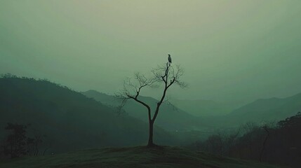 Wall Mural -   A solitary bird rests atop a tree amidst the fog-shrouded mountain valley, with a single tree in focus