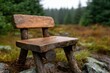 © Marina Varnava - Wooden bench in a serene forest during a rainy day showcases natural beauty and tranquility
