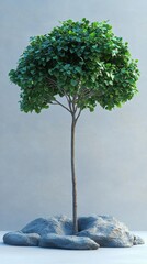 Wall Mural - Small Green Tree Against Gray Wall