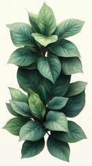 Wall Mural - Detailed Watercolor Painting of Lush Green Leaves on White Background