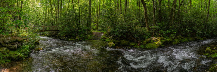  Wooden Bridge Crosses The Deep Water Of Noland Creek In Great Smoky Mountains