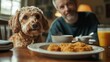 © Kunalai - Preventive lifestyle for pet wellness. A dog and owner enjoy breakfast together at a cozy table.