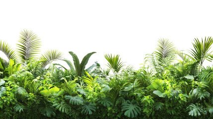 Fototapete - Tropical plants creating a lush green border on transparent background