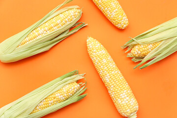 Fresh corn cobs on orange background