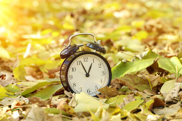 Wall Mural - Autumn time. Alarm clock on fallen leaves