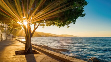 Poster - Sunlight beams filter through a lush tree on the coastline illuminating the tranquil Mediterranean waters and charming coastal pathway at sunset.