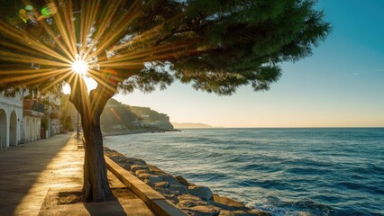 Aufkleber - Sun rays sparkle through a tree near the Mediterranean Sea, highlighting a tranquil promenade with vibrant blue waters and golden sunlight.