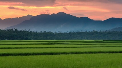 Poster - Lush green paddy field in the foreground with layered mountains in soft blue and purple hues under a vibrant sunset sky with orange and pink tones.