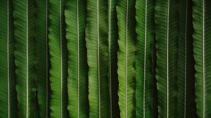 Poster - Vertical arrangement of vibrant green leaves displaying rich textures and patterns with subtle light highlights enhancing the foliage depth.