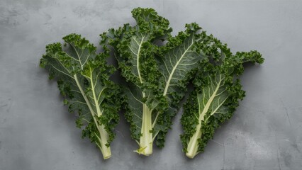 Poster - Fresh green kale leaves arranged neatly on a textured gray background showcasing vibrant colors and intricate leaf structures.