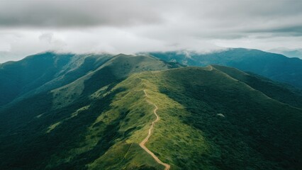 Aufkleber - Aerial view of lush green mountain slopes under soft gray clouds with winding dirt path leading through the serene landscape on a cloudy morning