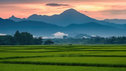 Poster - Serene green paddy fields in the foreground with lush mountains under a vibrant sunset sky in hues of orange and pink.