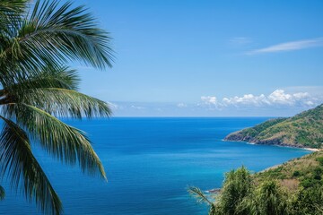 Canvas Print - Tropical coastal view; palm, ocean, headland, sunny sky, vacation