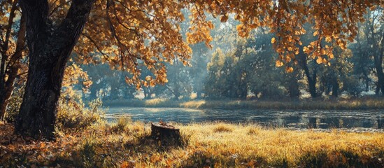 Leinwandbilder - Serene autumn meadow with golden leaves and soft natural light reflecting on calm water in the foreground, creating a photorealistic vibrant scene