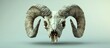 © meristock - Realistic ram skull with large curled horns centered against a soft green background, showcasing intricate bone texture and shadow details.