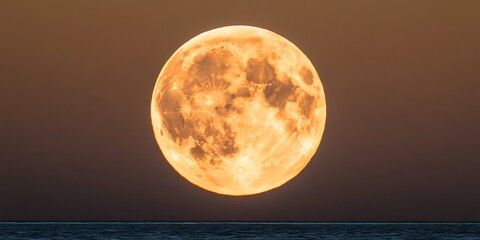 Poster - Orange moonrise over ocean at sunset