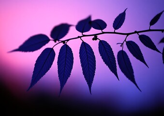 Poster - Silhouetted leaves, sunset, nature, peaceful backdrop, design