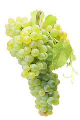 Wall Mural - Bunch of green grapes isolated