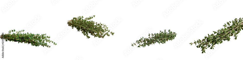 Lush and verdant foliage of a thriving natural environment showcasing the beauty and abundance of a flourishing ecosystem  The image depicts a dense green forest canopy with an abundance of healthy