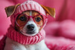 © shamek - a pet in a pink hat, pink glasses, a scarf on a pink background, a Jack Russell dog