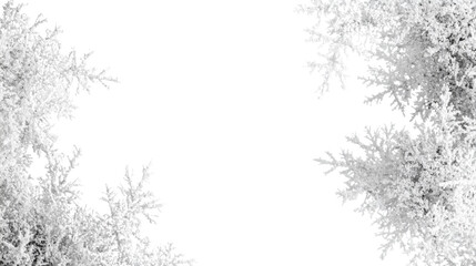 Leinwandbilder - The image shows an abstract design featuring white frost patterns resembling snowflakes arranged on a black background creating a decorative frame.