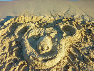 Wall Mural - Detailed sand sculpture of a koala's face is prominently featured on beach in Newcastle, Australia. Artwork showcases the creativity and temporary nature of sand art, with the wet and dry sand visible