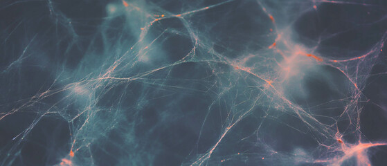 Delicate spider web texture with thin threads on a dark background creating an intricate pattern